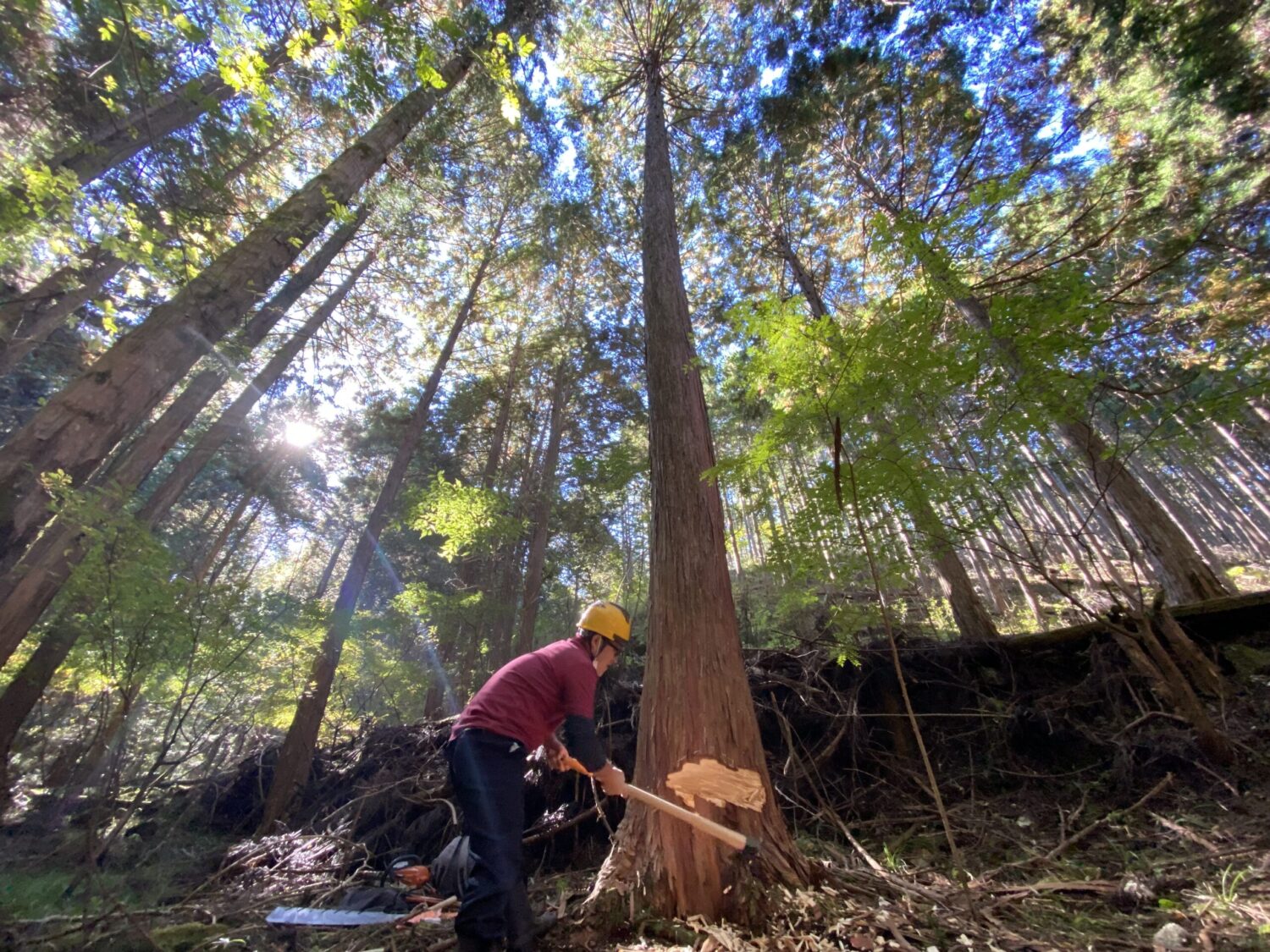 Urugi（売木村）