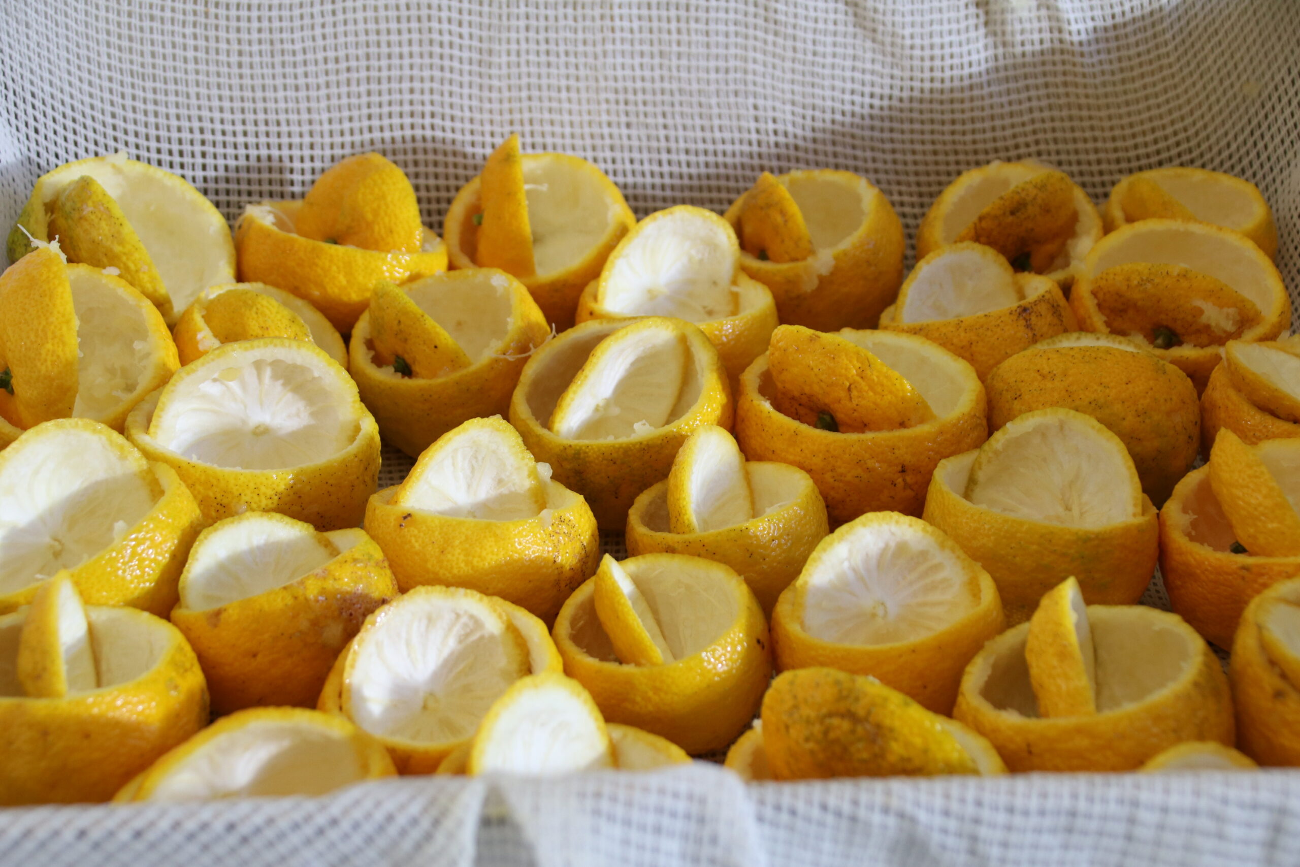 Yuzu Cooking (Yubeshi)