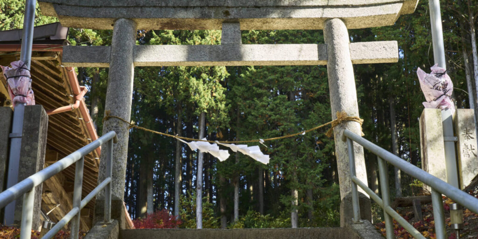 torii and shimenawa