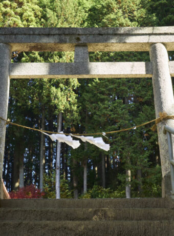 torii and shimenawa